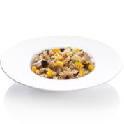 FUSILLI-1