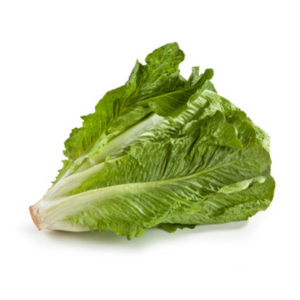 lattuga keto