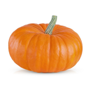 zucca keto